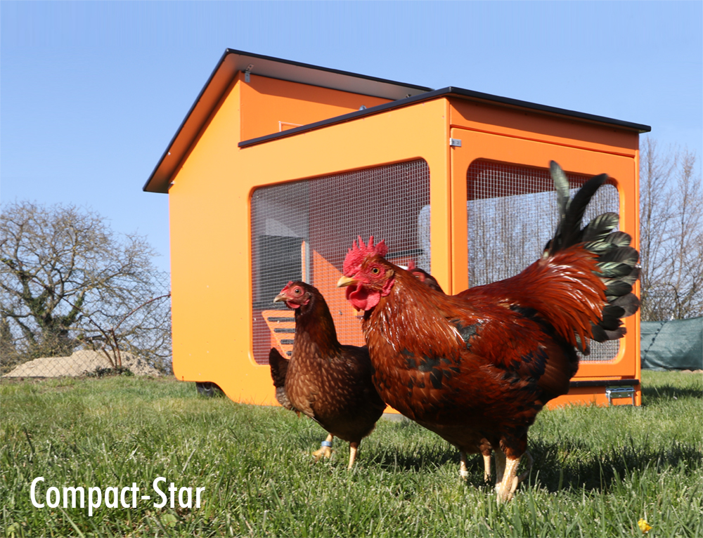 Hühnerstall für 6 Hühner: Compact-Star